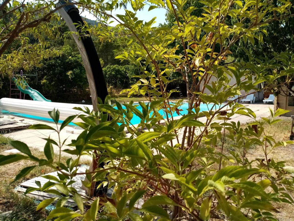 Maison D'Hotes Eco-Responsable Avec Piscine 6X12M Chateaudouble  Luaran gambar