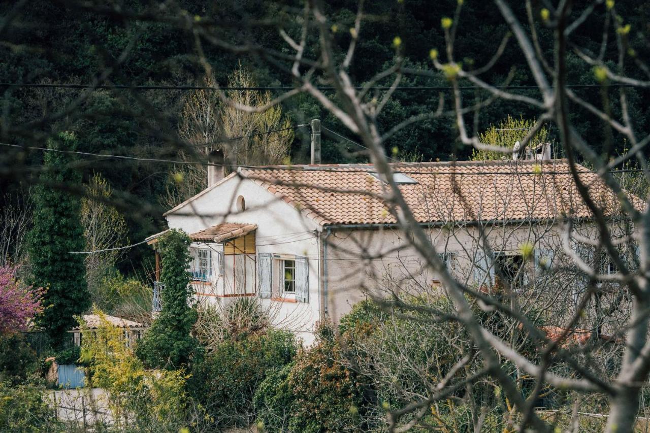Maison D'Hotes Eco-Responsable Avec Piscine 6X12M Chateaudouble  Luaran gambar